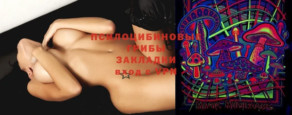 круглые Бородино