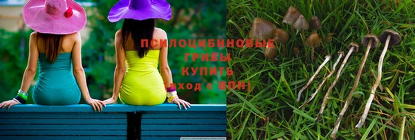 круглые Бородино
