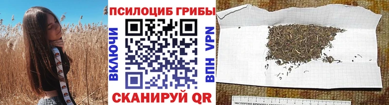 наркота  KRAKEN ONION  Псилоцибиновые грибы прущие грибы  Тбилисская 